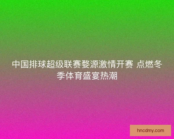 中国排球超级联赛婺源激情开赛 点燃冬季体育盛宴热潮 中国排球超级联赛婺源激情开赛 点燃冬季体育盛宴热潮