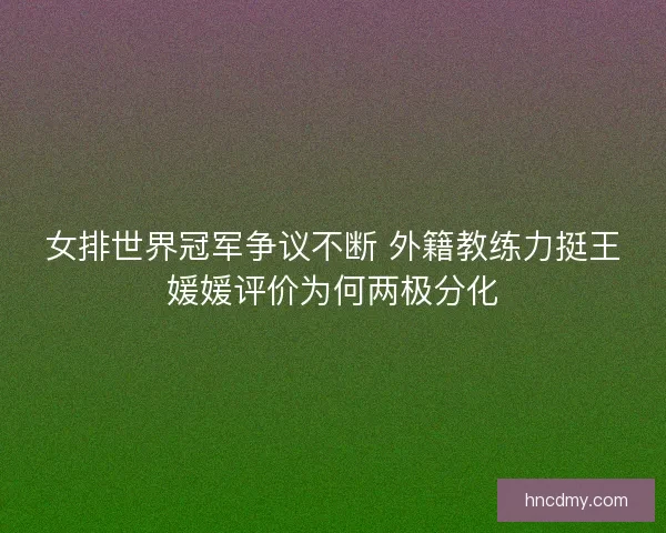 女排世界冠军争议不断 外籍教练力挺王媛媛评价为何两极分化